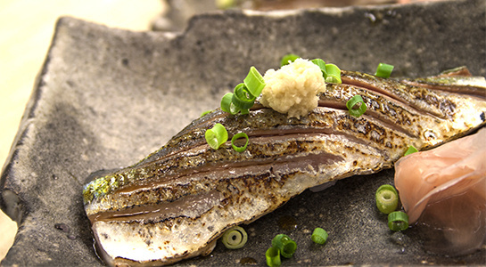 秋刀魚の握り